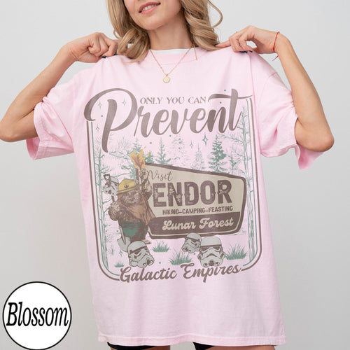 Comfort Colors® Ewok Star Wars Shirt, Ewok Endor National Park Protect Our Forest Shirt, Vintage Star Wars Forest Camp Shirt, Disney Shirts